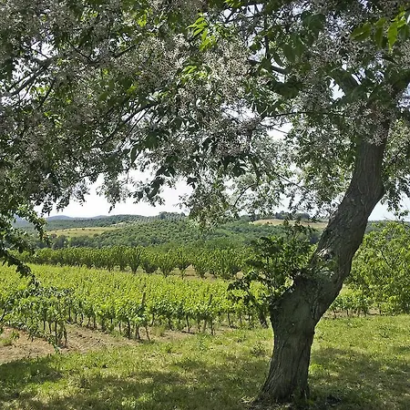 Alloggio per agriturismo Il Giardino Dei Ciliegi