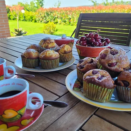 Alloggio per agriturismo Il Giardino Dei Ciliegi *
