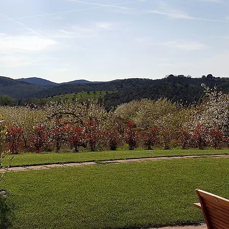 Alloggio per agriturismo Il Giardino Dei Ciliegi Cura Nuova