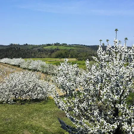Alloggio per agriturismo Il Giardino Dei Ciliegi *