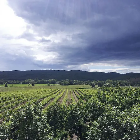 Alloggio per agriturismo Il Giardino Dei Ciliegi Cura Nuova
