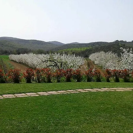 Il Giardino Dei Ciliegi *