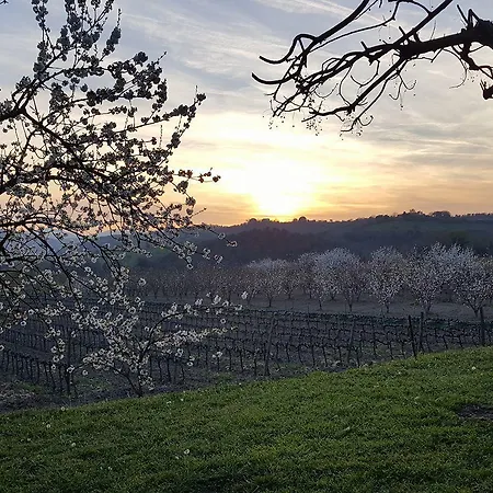 Il Giardino Dei Ciliegi