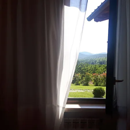 Il Giardino Dei Ciliegi Cura Nuova