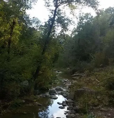 Il Giardino Dei Ciliegi * Cura Nuova