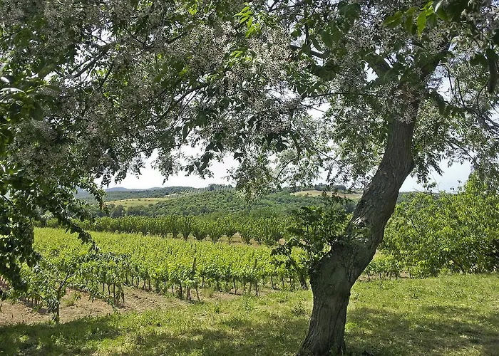 Farma Il Giardino Dei Ciliegi