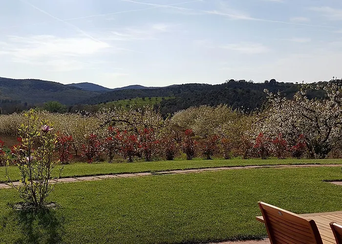 Farma Il Giardino Dei Ciliegi Cura Nuova