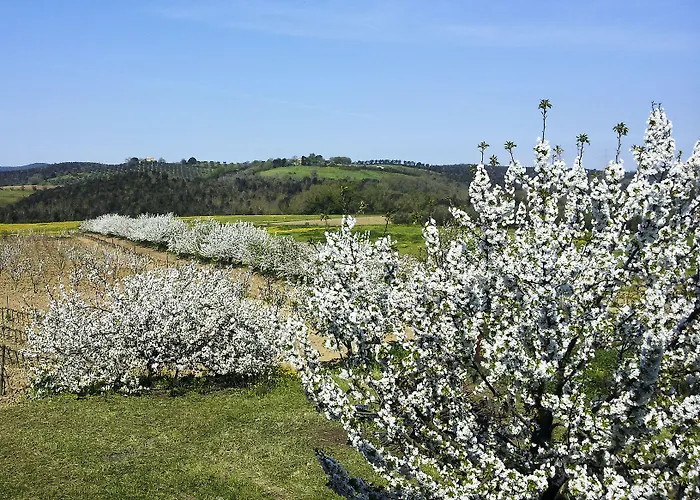 Farma Il Giardino Dei Ciliegi *