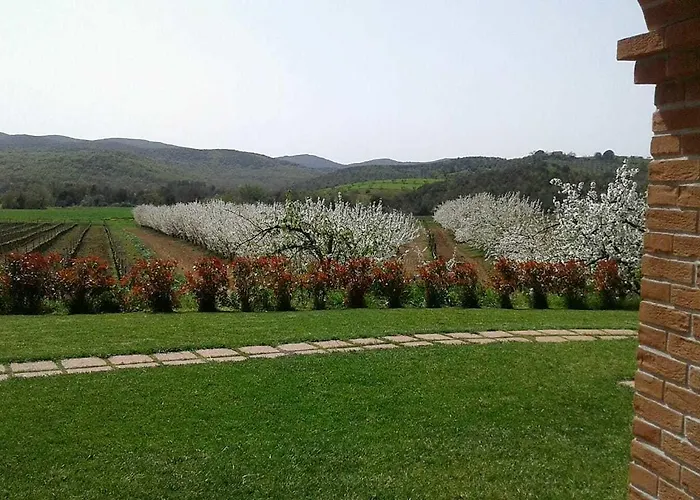 Il Giardino Dei Ciliegi *