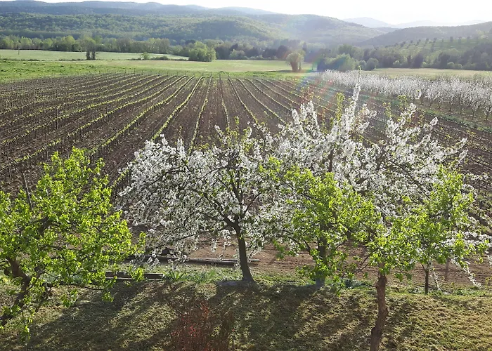 Il Giardino Dei Ciliegi Farma