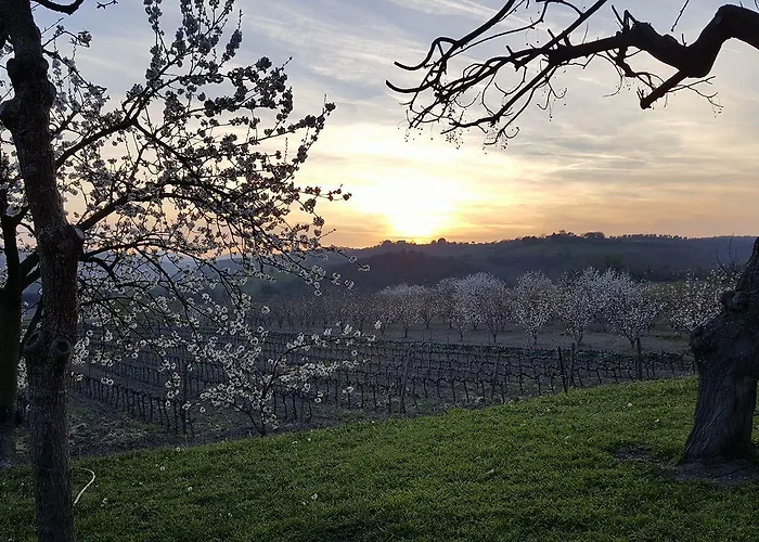 Il Giardino Dei Ciliegi