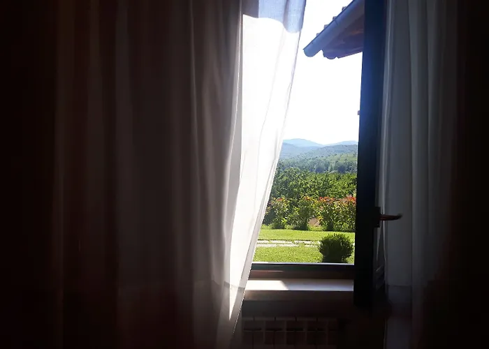 Il Giardino Dei Ciliegi Cura Nuova